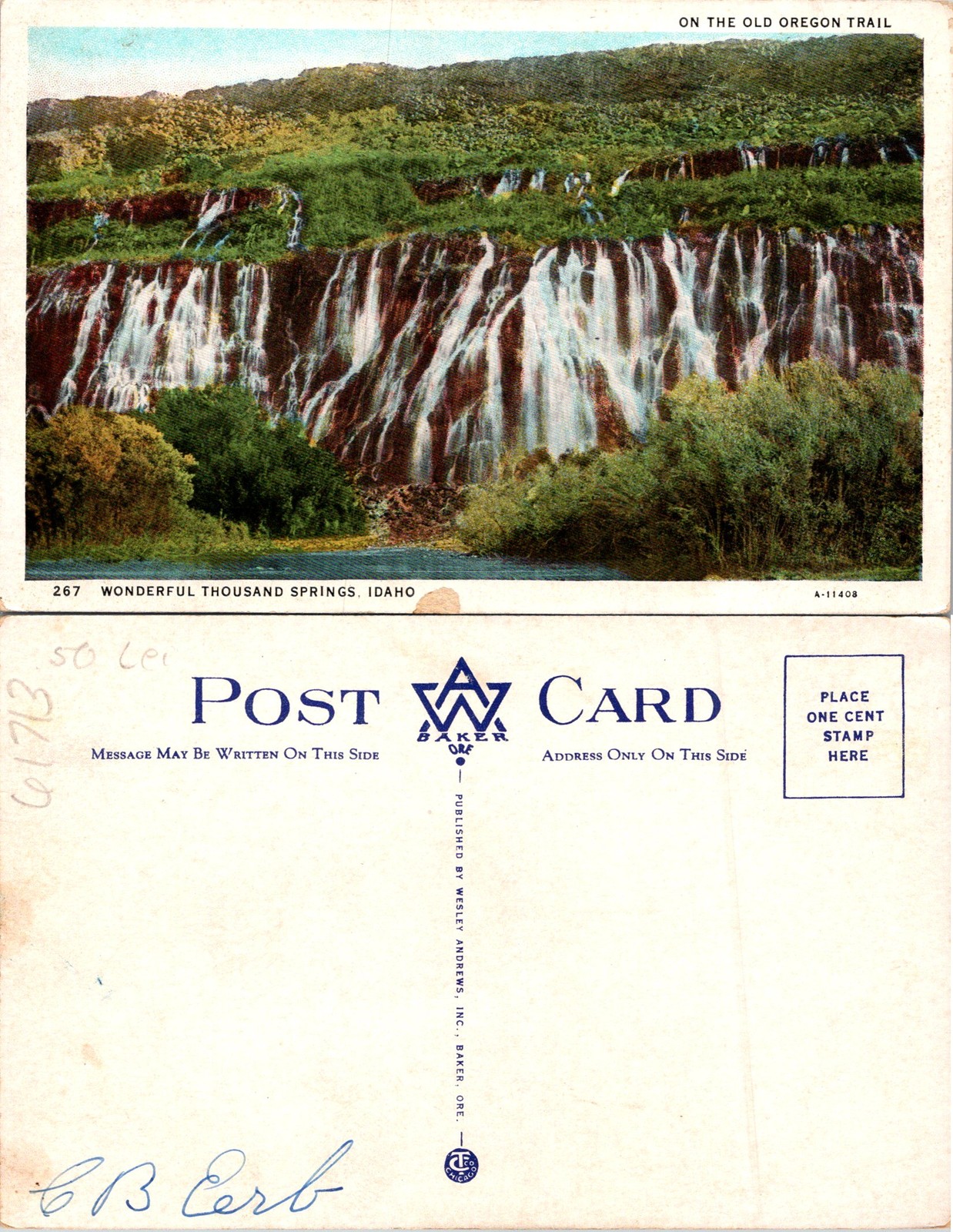 Idaho ID Old Oregon Trail Wonderful Thousand Springs Postcard 61713