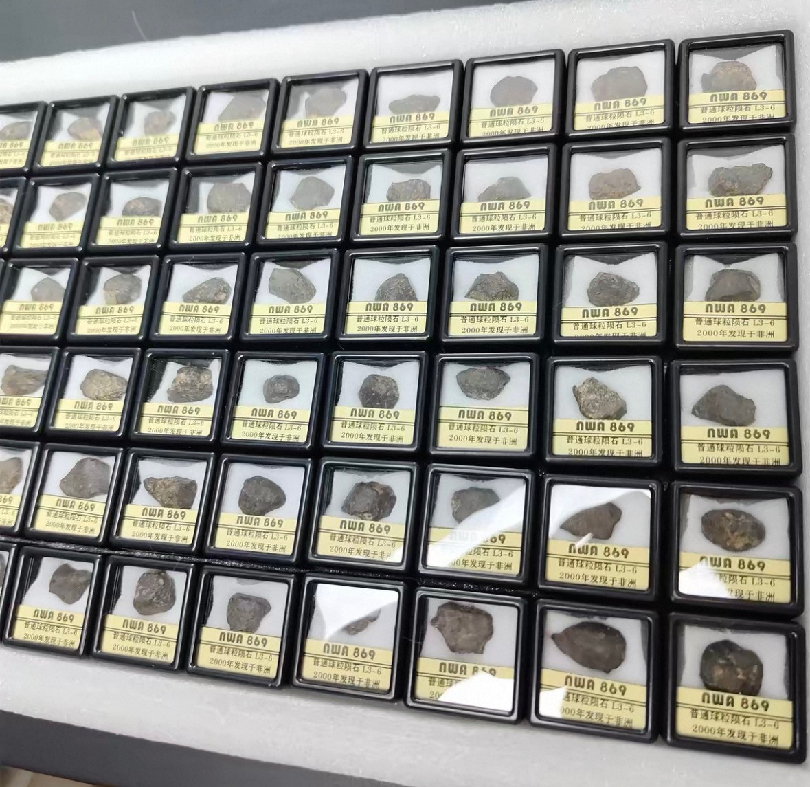 1pc L3-6 Chondrules meteorite NWA 869 Science popularization collection 1pc L3-6 Chondrules meteorite NWA 869 Science popularization collection