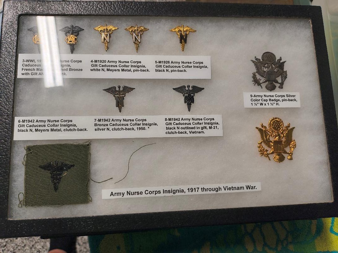 WWI to Vietnam US Army Nurse Corps Insignia Collection Pins 12x8 Riker Case Set WWI to Vietnam US Army Nurse Corps Insignia Collection Pins 12x8 Riker Case Set