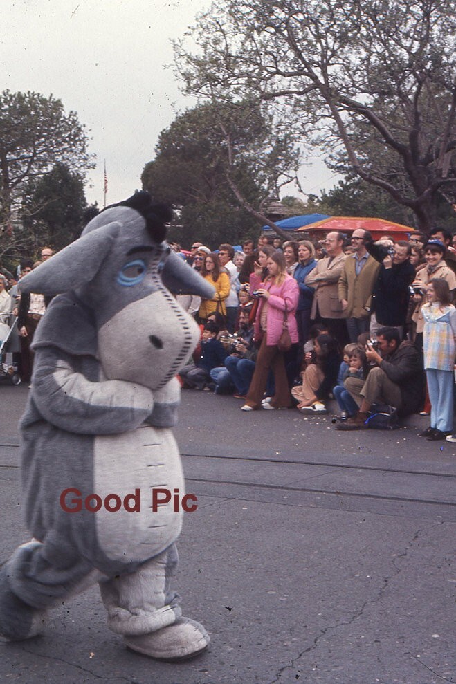 #XX24-bb Vintage 35mm Slide Photo- Disneyland- Eeyore  - 1979