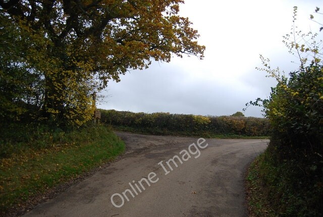 Photo 6x4 1066 Country walk turns off Henley's Hill Bodle Street Green  c2010