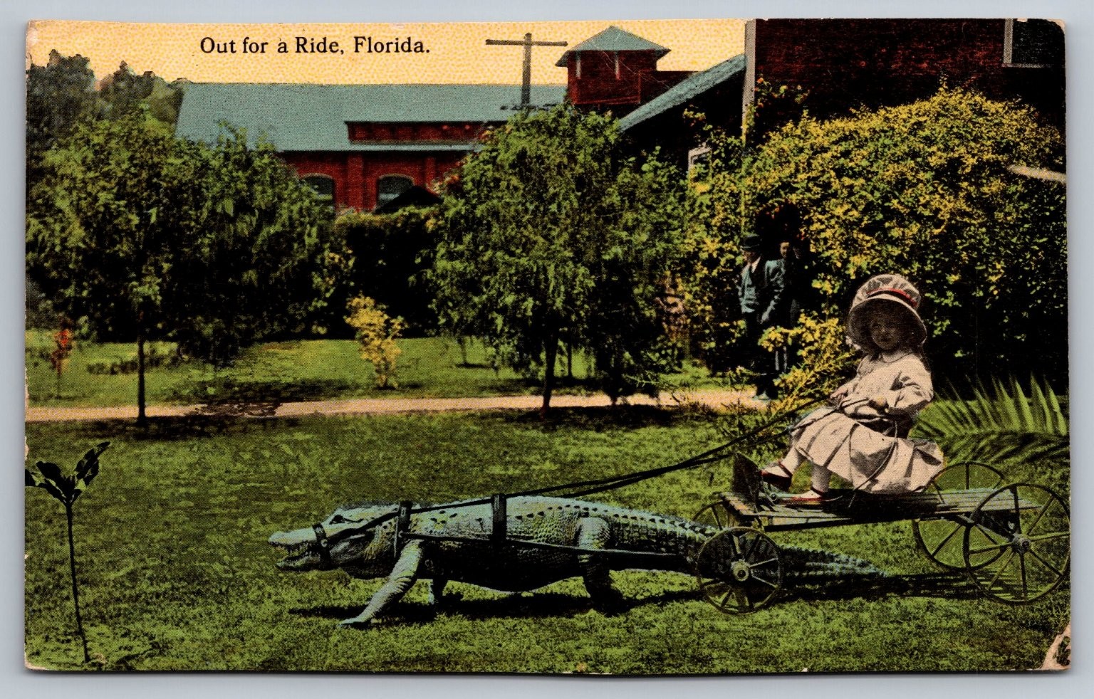 1912 Florida Alligator Cart Ride Child Novelty Postcard St. Augustine RPO 1912 Florida Alligator Cart Ride Child Novelty Postcard St. Augustine RPO