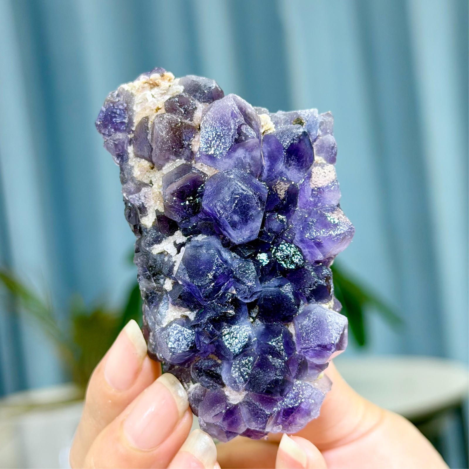 159G Natural Amethyst geode quartz cluster crystal specimen Healing