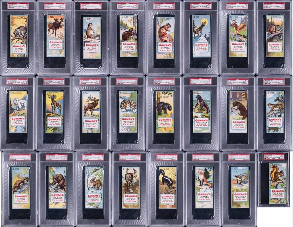 1920 V2 Cowan Co. Animal Cards-Blank Back Complete Set (24) - #1 on PSA Registry