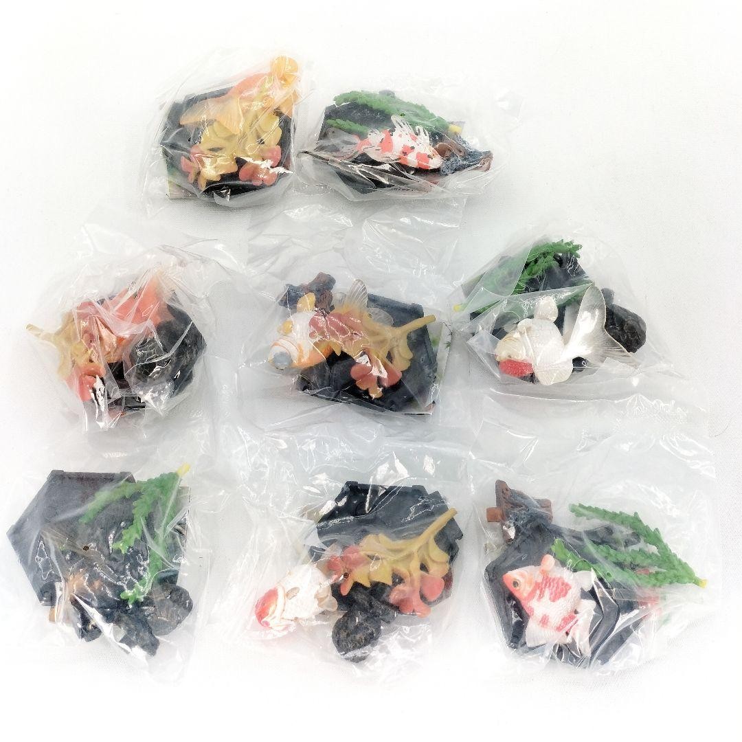 Goldfish 3D Encyclopedia Complete 8 Figure Set Display Collectible Unopened