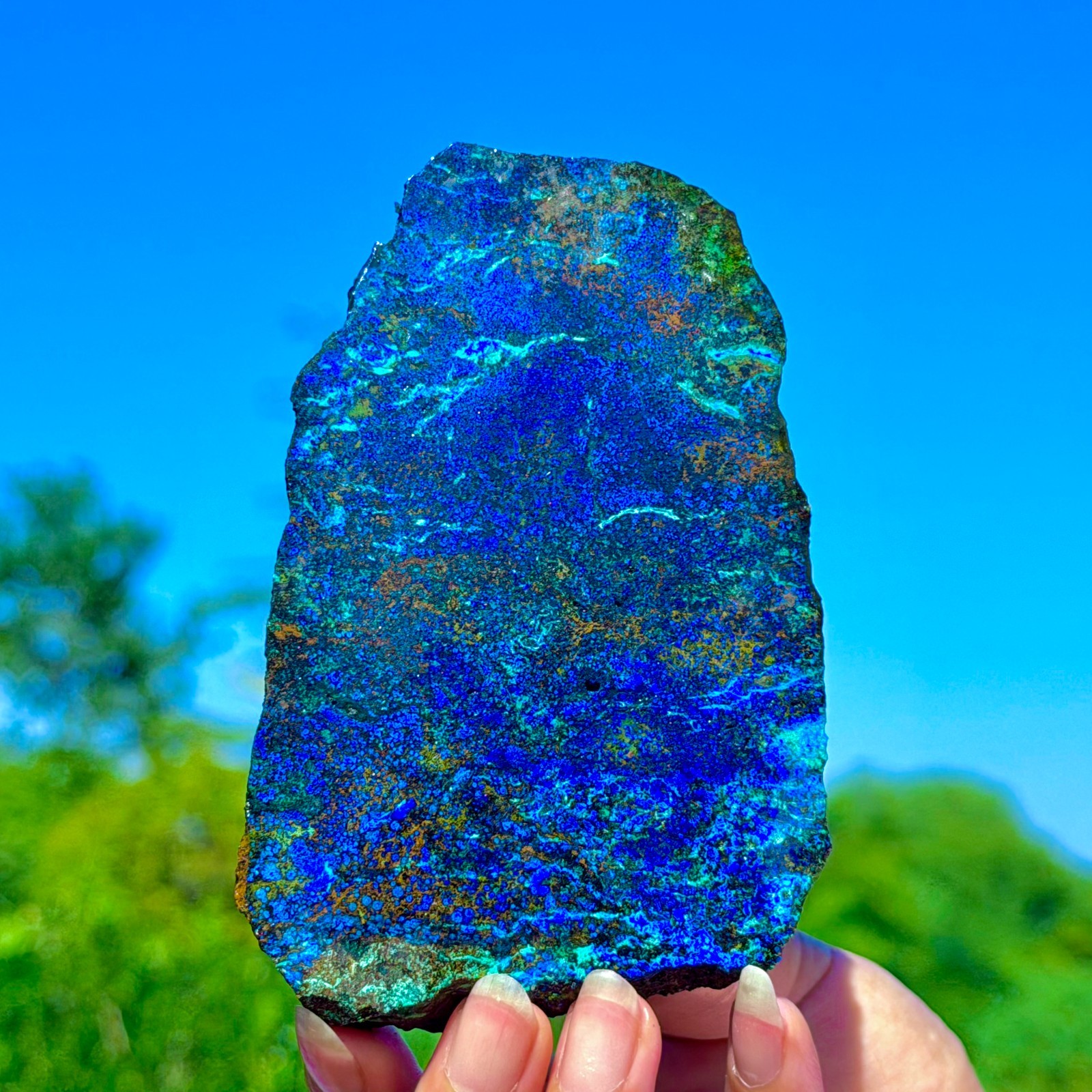 248G BEST NATURAL Azurite/Malachite Crystal Slice Gem Quartz Minerals Specimen