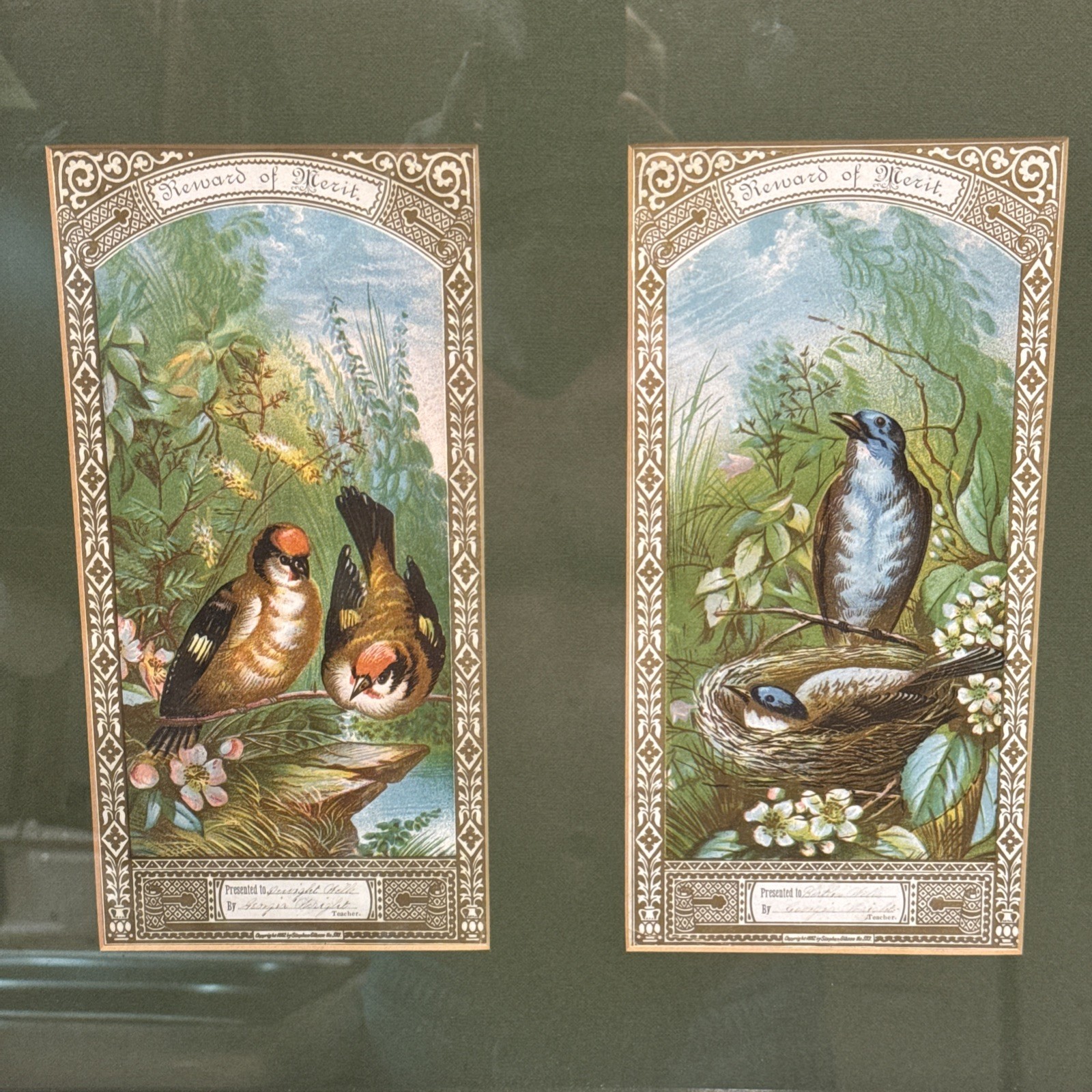 1882 Reward of Merit Bird Chromolithographs Stephen Gillson Antique Framed Pair