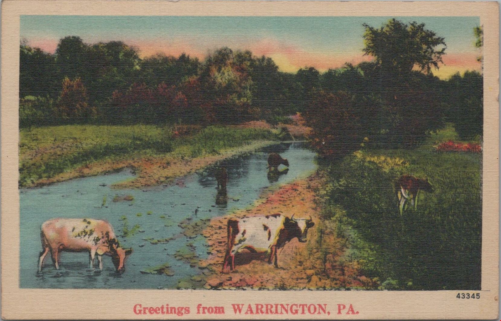 Postcard Greetings from Warrington PA 1943 Postcard Greetings from Warrington PA 1943