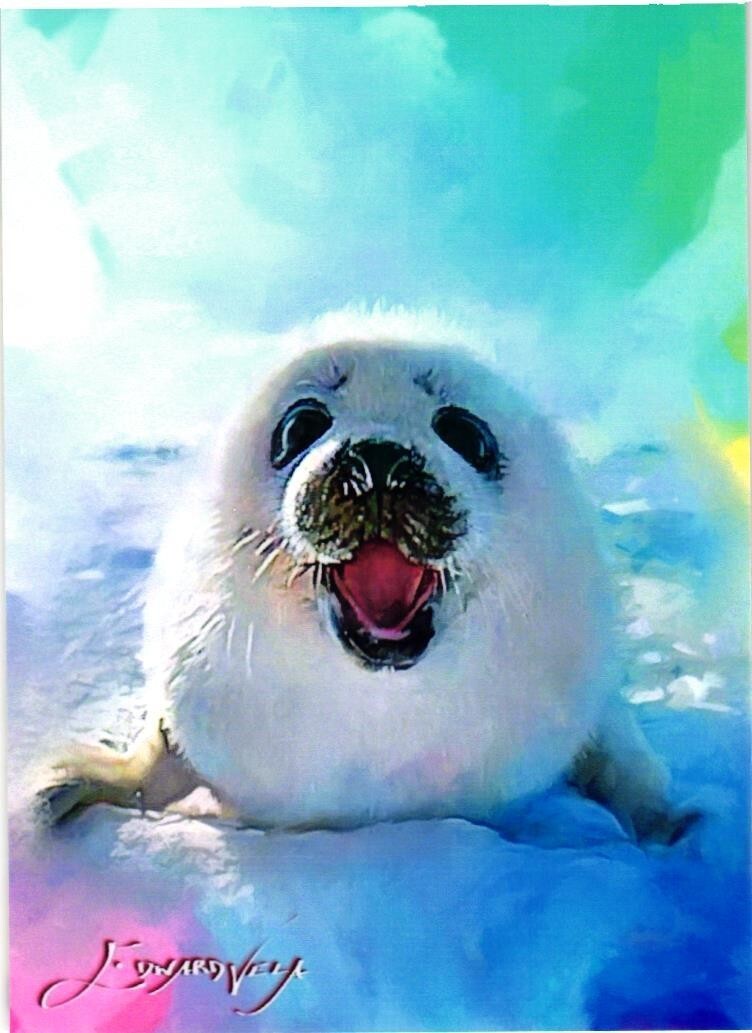 Arctic Seal 2024 Authentic Artist Signed Limited Edition Print 23 of 50