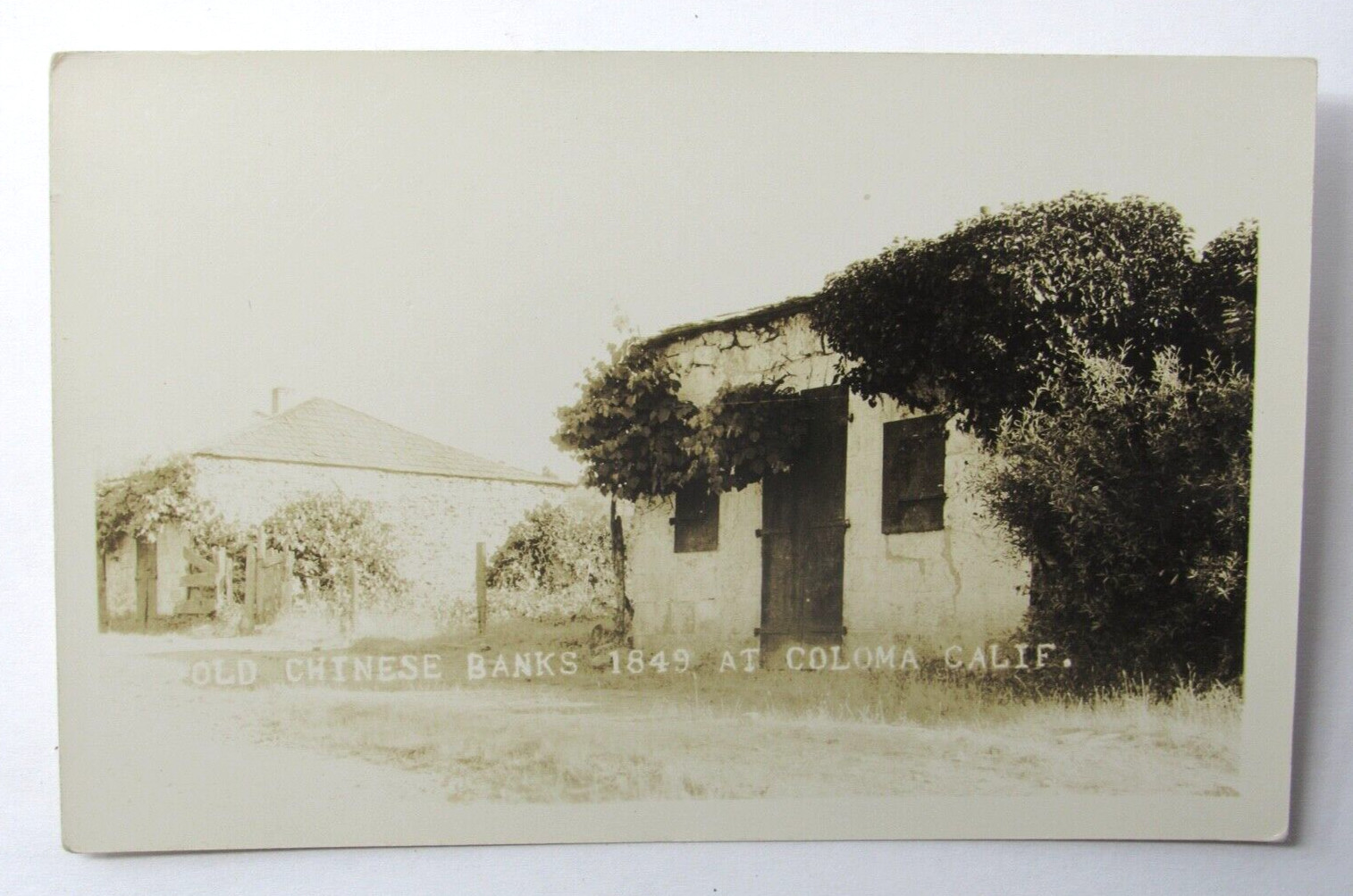 Chinese Banks Coloma CA RPPC Photo Postcard c1915