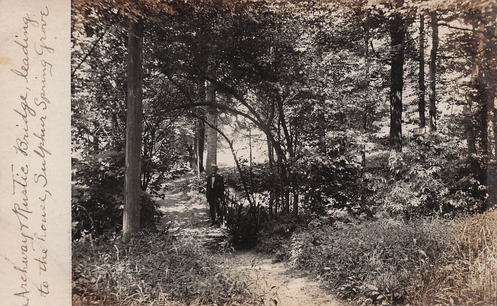 RPPC Letchworth Park Upstate New York Portage sulphur springs Photo Postcard H28