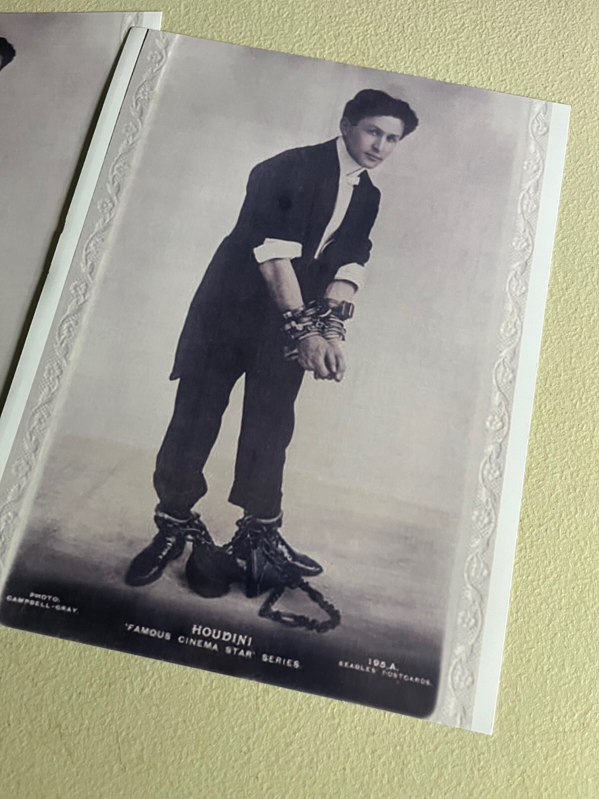 Young Houdini, reprint of old cabinet card from 1903, Highly Collectible