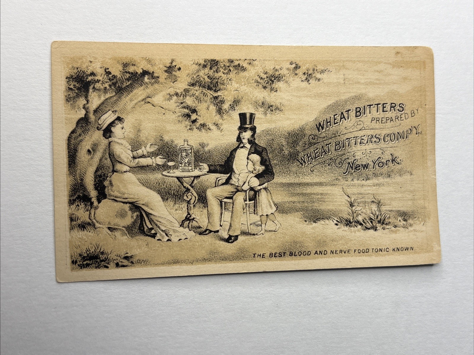 WHEAT BITTERS CO New York Blood Nerve Tonic Advertising Trade Card 10296