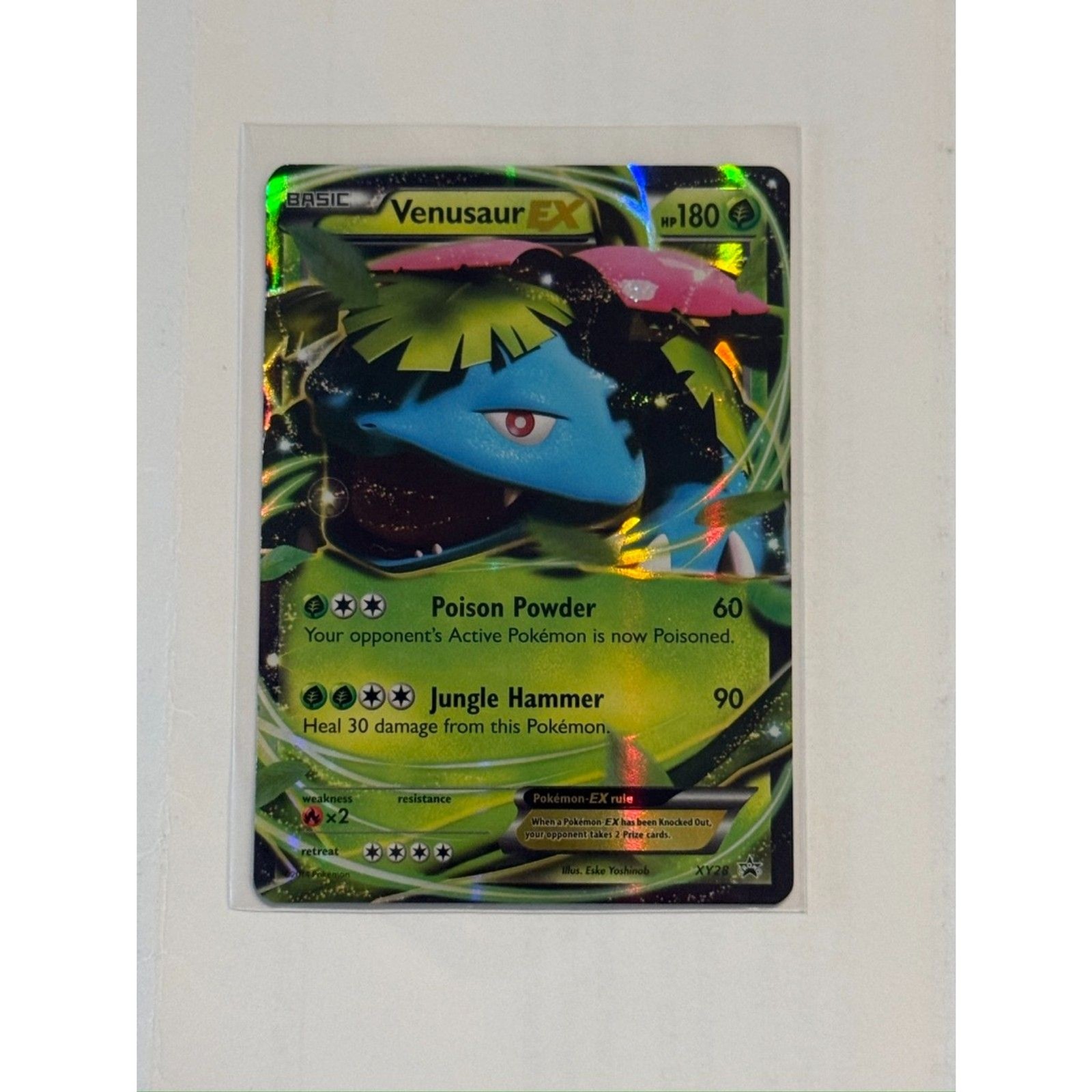 Pokemon Venusaur EX Promo XY28 MP+-LP