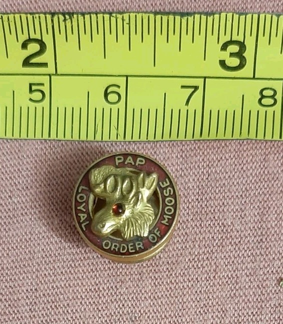 Vintage Loyal Order of Moose PAP Screw Back Pin Purity Aid Progress