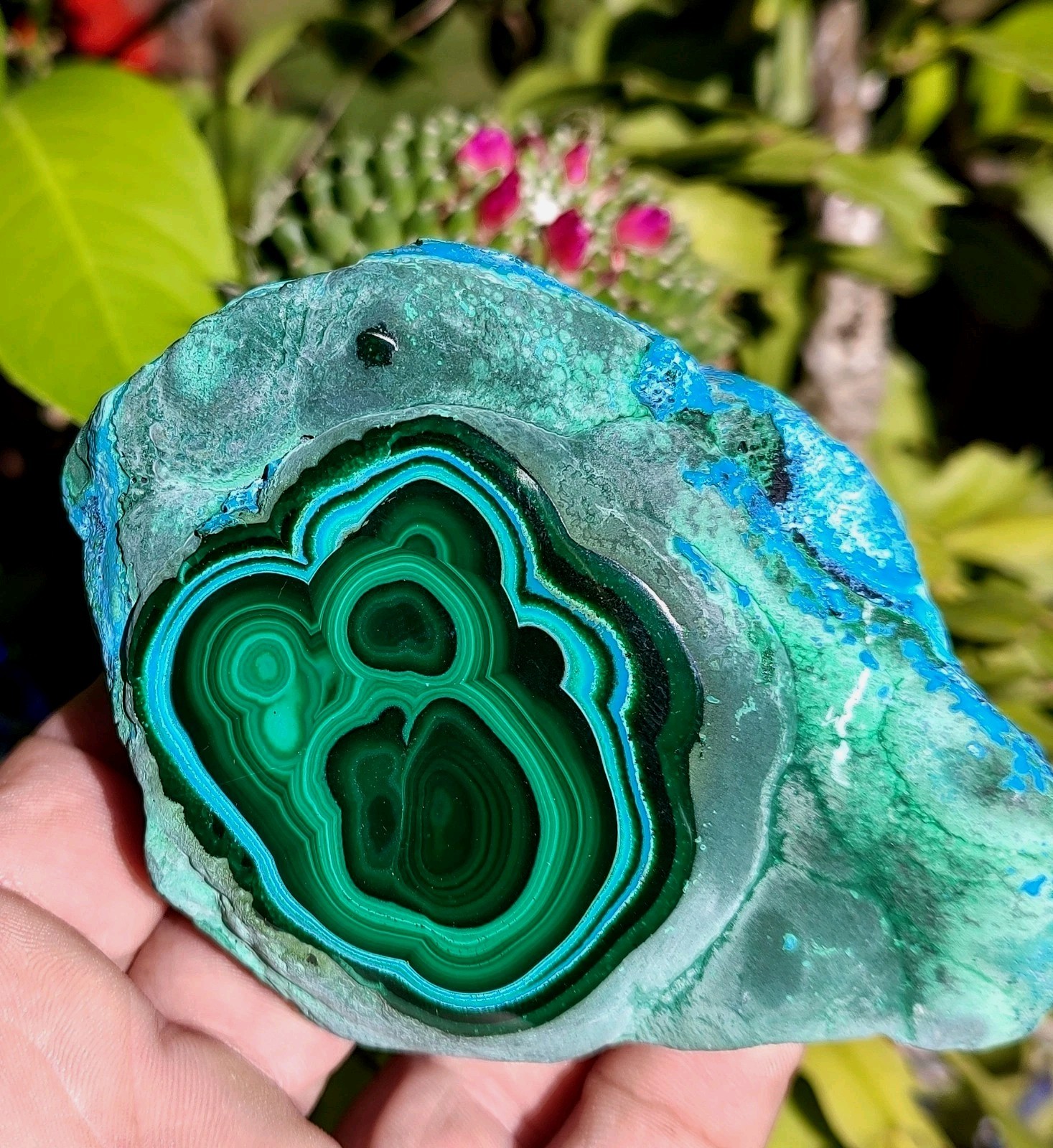 GORGEOUS CHRYSCOLLA -MALACHITE NATURAL MINERAL, 427G POLISHED SHOW PIECE GORGEOUS CHRYSCOLLA -MALACHITE NATURAL MINERAL, 427G POLISHED SHOW PIECE