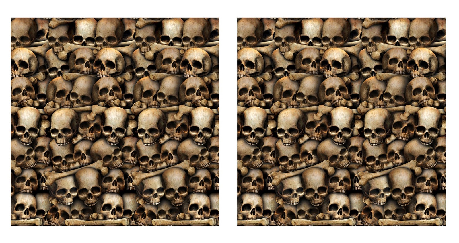 Beistle Catacombs Backdrop Wall Decorations – 2 Realistic Skull and Bone