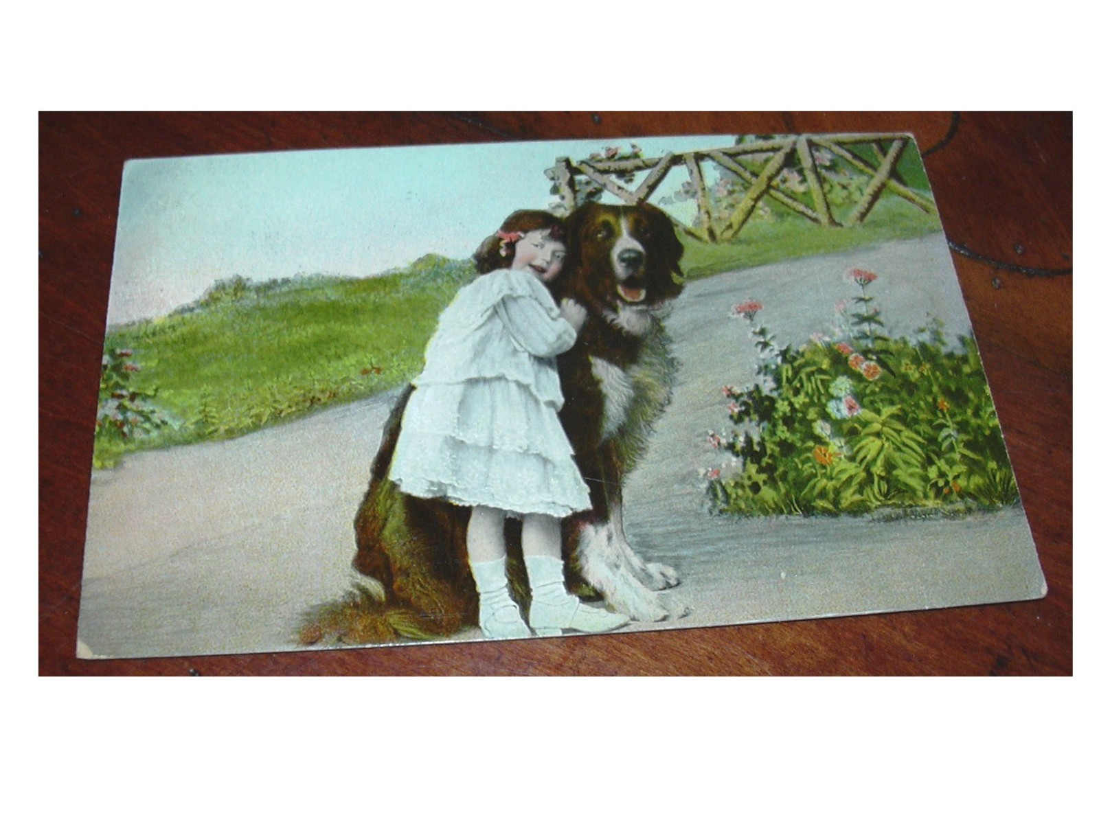 Antique 1909 Postcard St. Bernard and Young Girl