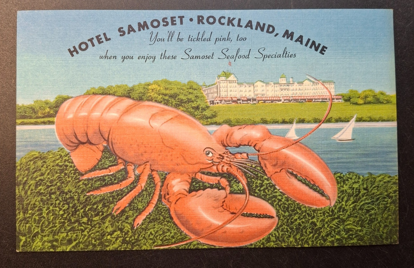 Rockland Maine Hotel Samoset Lobster Postcard c1940