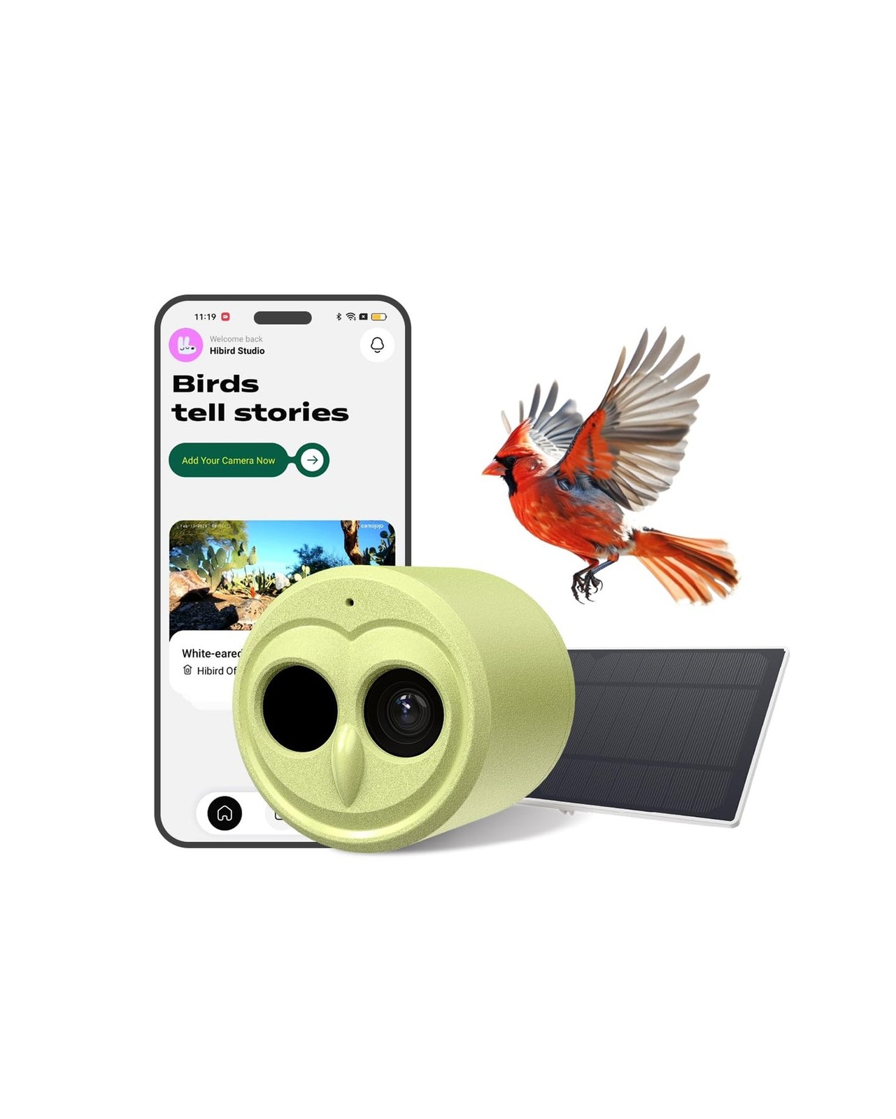 Hibird 4K HD Smart Bird Feeder Camera Solar Powered, 2.4G/5G Dual WiFi Wirele... Hibird 4K HD Smart Bird Feeder Camera Solar Powered, 2.4G/5G Dual WiFi Wirele...