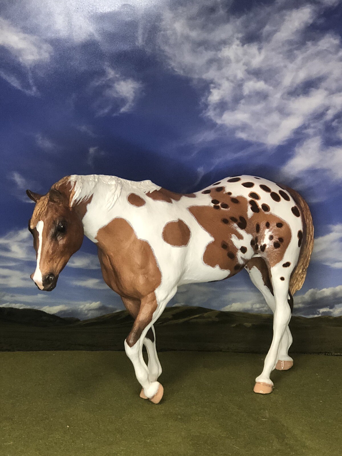 OOAK Breyer cm Custom Horse Indian Pony Pintaloosa *+*Stunning*+* OOAK Breyer cm Custom Horse Indian Pony Pintaloosa *+*Stunning*+*