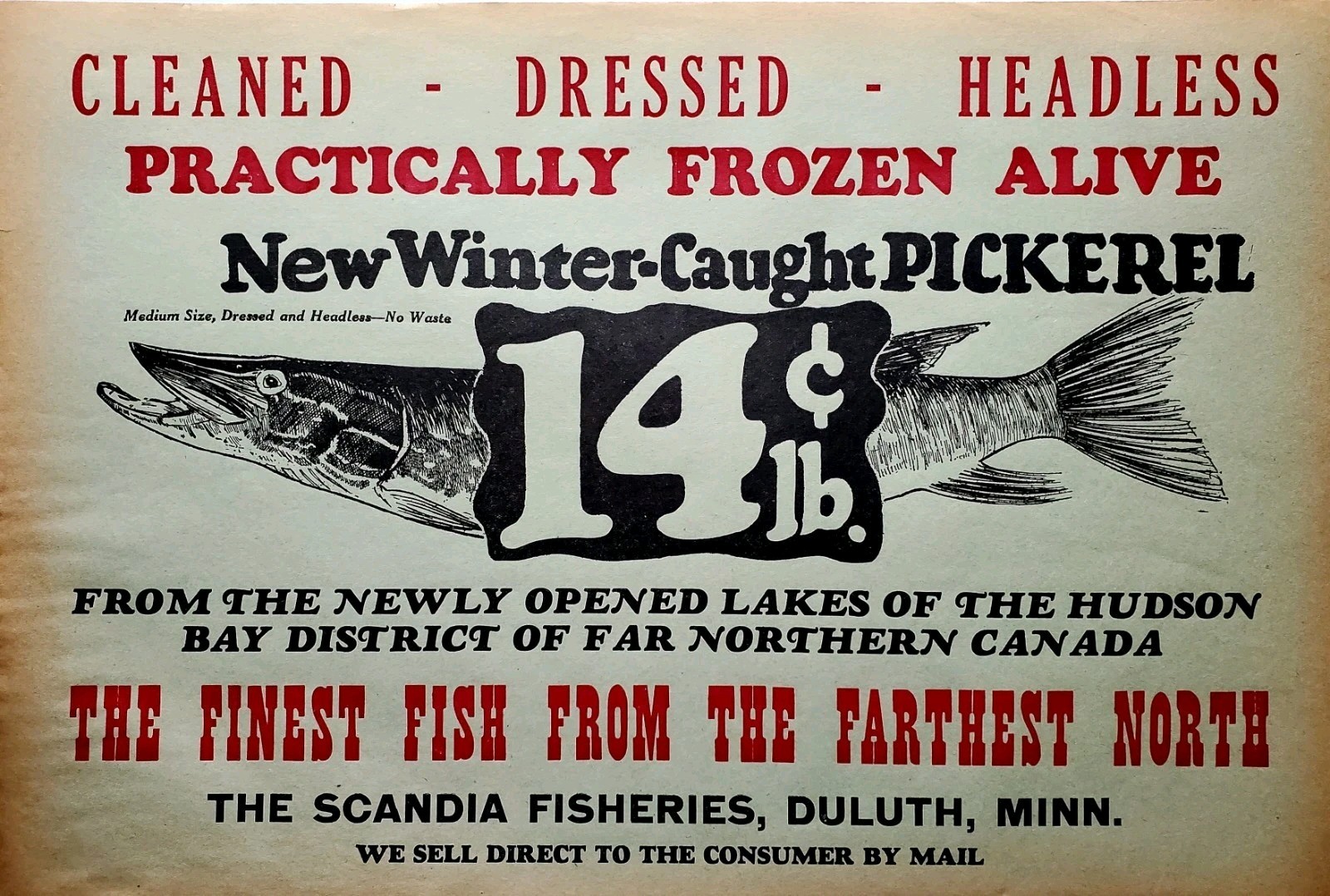 Vintage Old Pickerel Fish Advertising Paper Sign, 14 cents/lb, Duluth, MN. Vintage Old Pickerel Fish Advertising Paper Sign, 14 cents/lb, Duluth, MN.