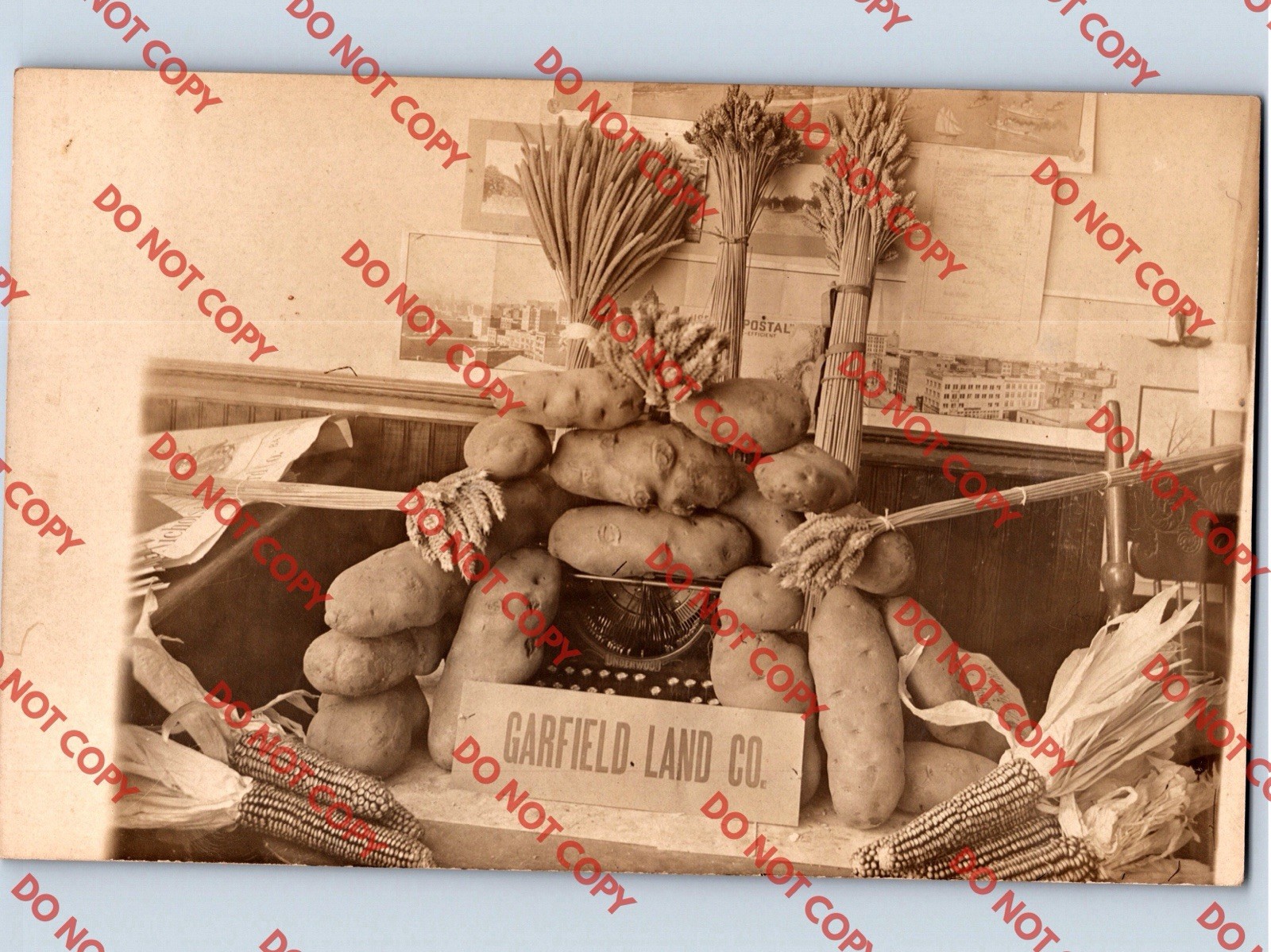 c1910 Garfield Land Co. Fair Display Exhibit WHITMAN COUNTY Washington WA RPPC