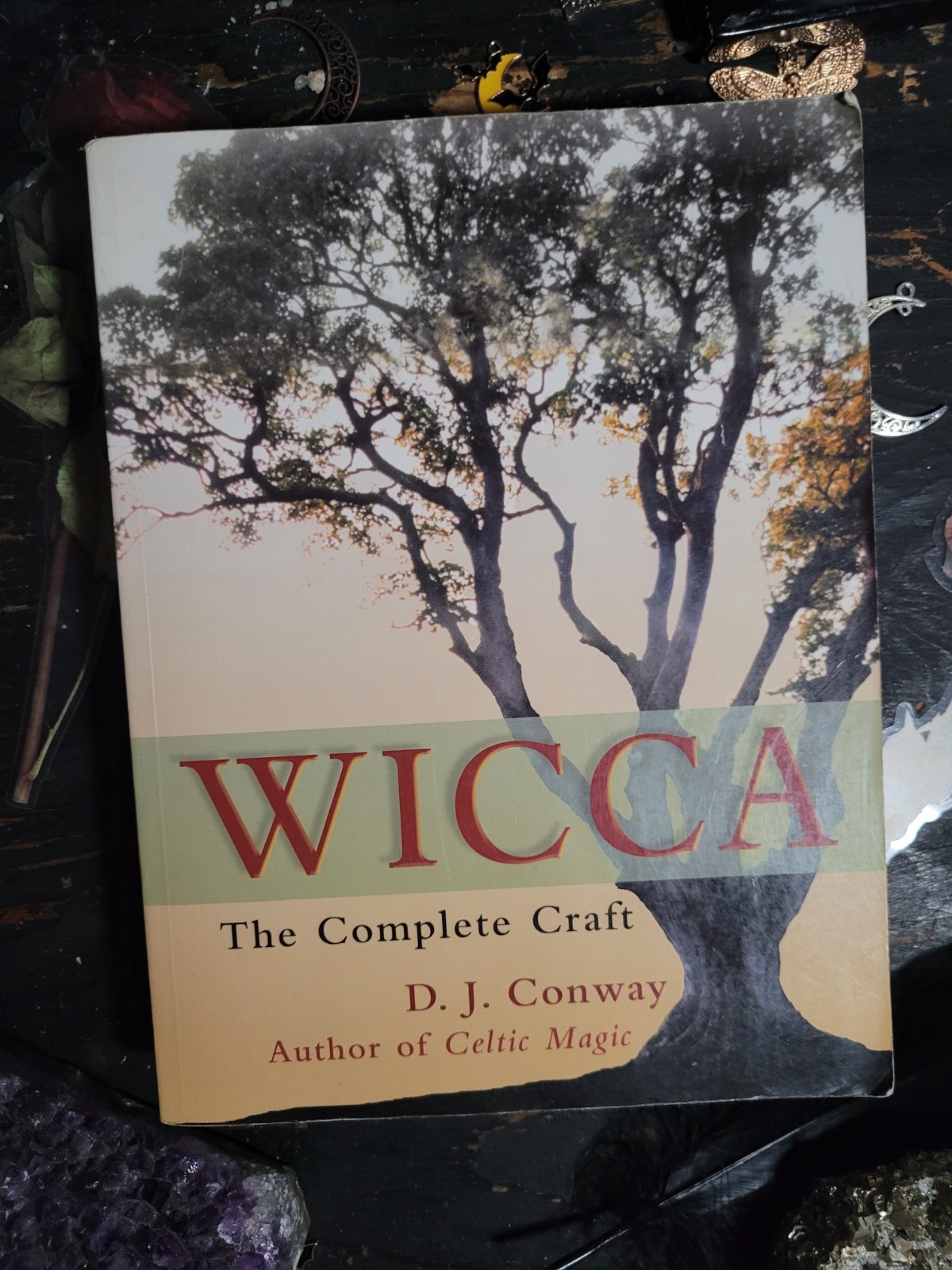 2001 Wicca The Complete Craft Conway - Vintage Witchcraft Occult Wicca Paperback