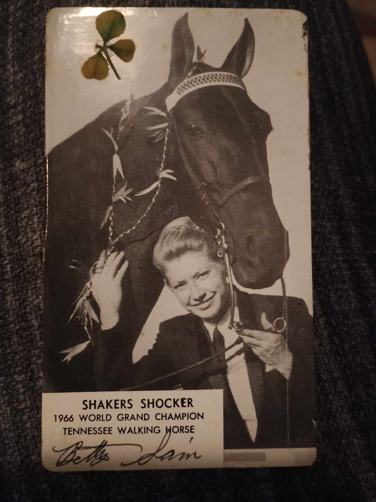 1966 World Grand Champion Tennessee Walking Horse 