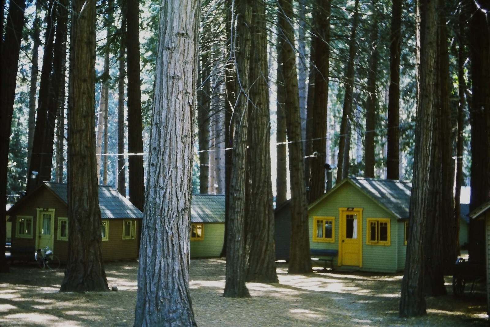 c1960's Kodachrome 35mm Slide, Redwood Forest Cabins, Rustic Vacation Cottages c1960's Kodachrome 35mm Slide, Redwood Forest Cabins, Rustic Vacation Cottages