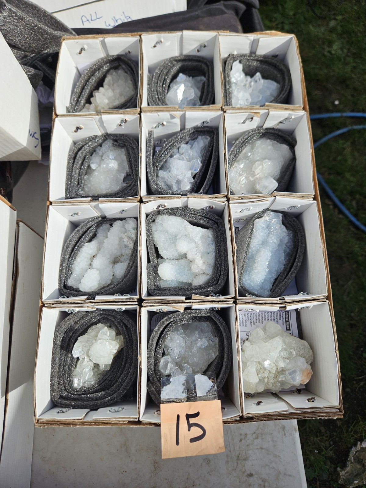 Mulitple Crystal Box #15 (12 medium Crystals Included)