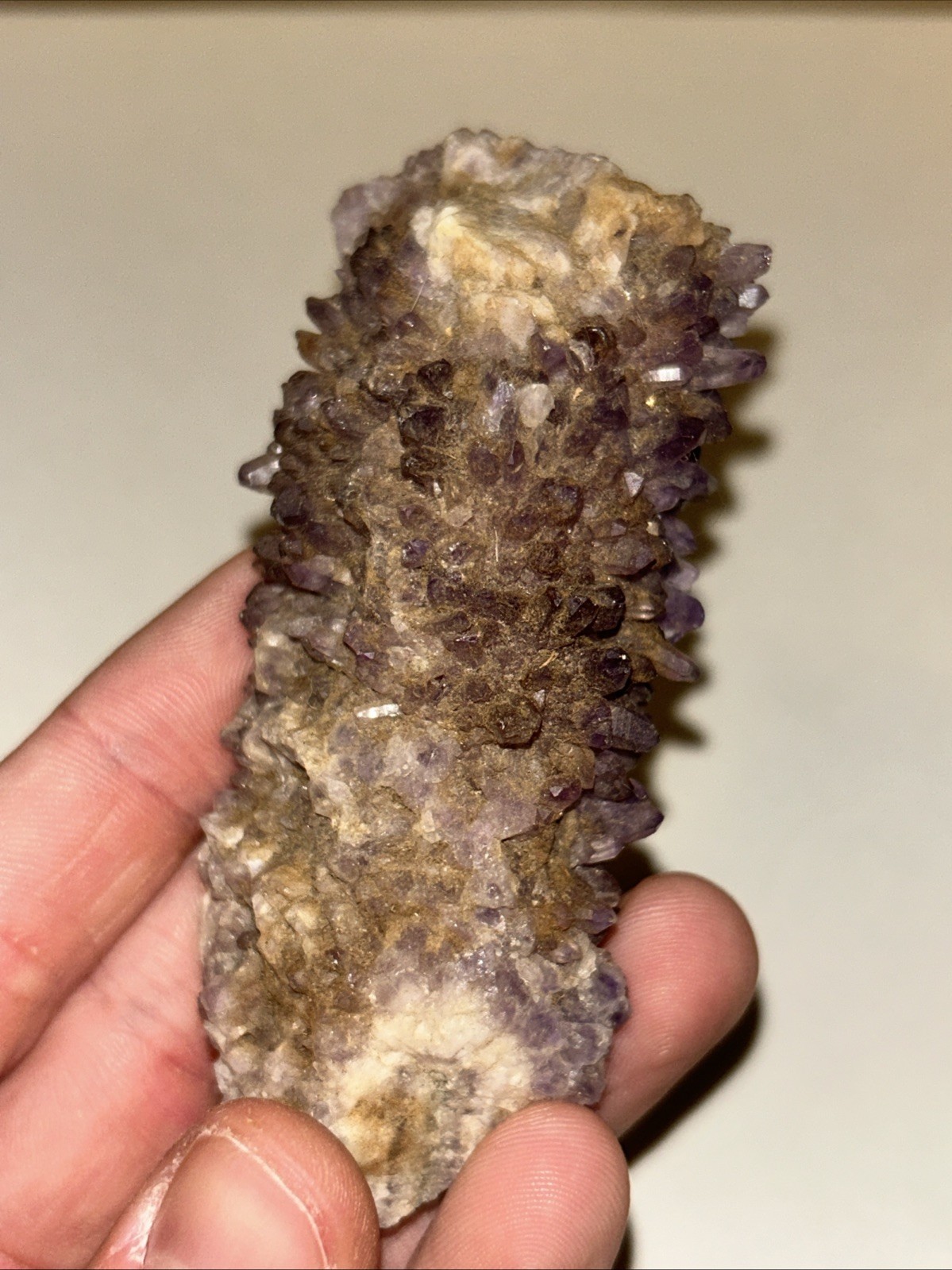 Cactus Amethyst