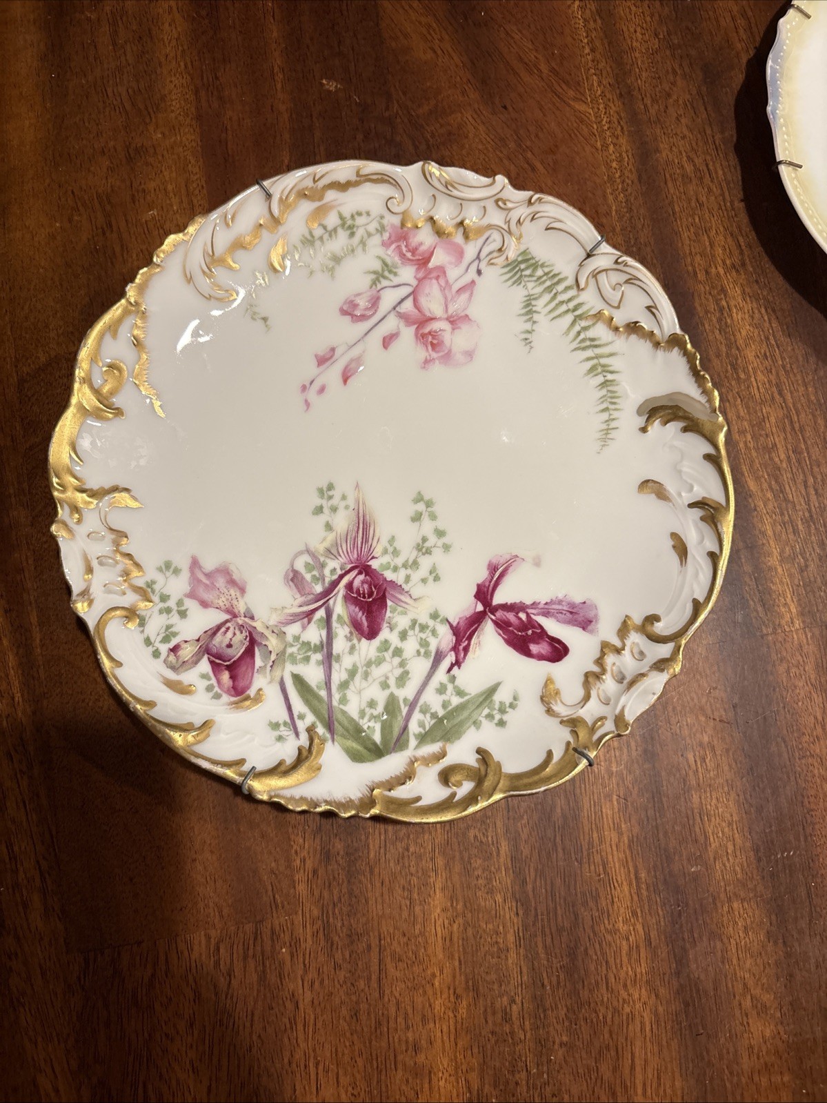 Limoges Hand Painted Plate Limoges Hand Painted Plate