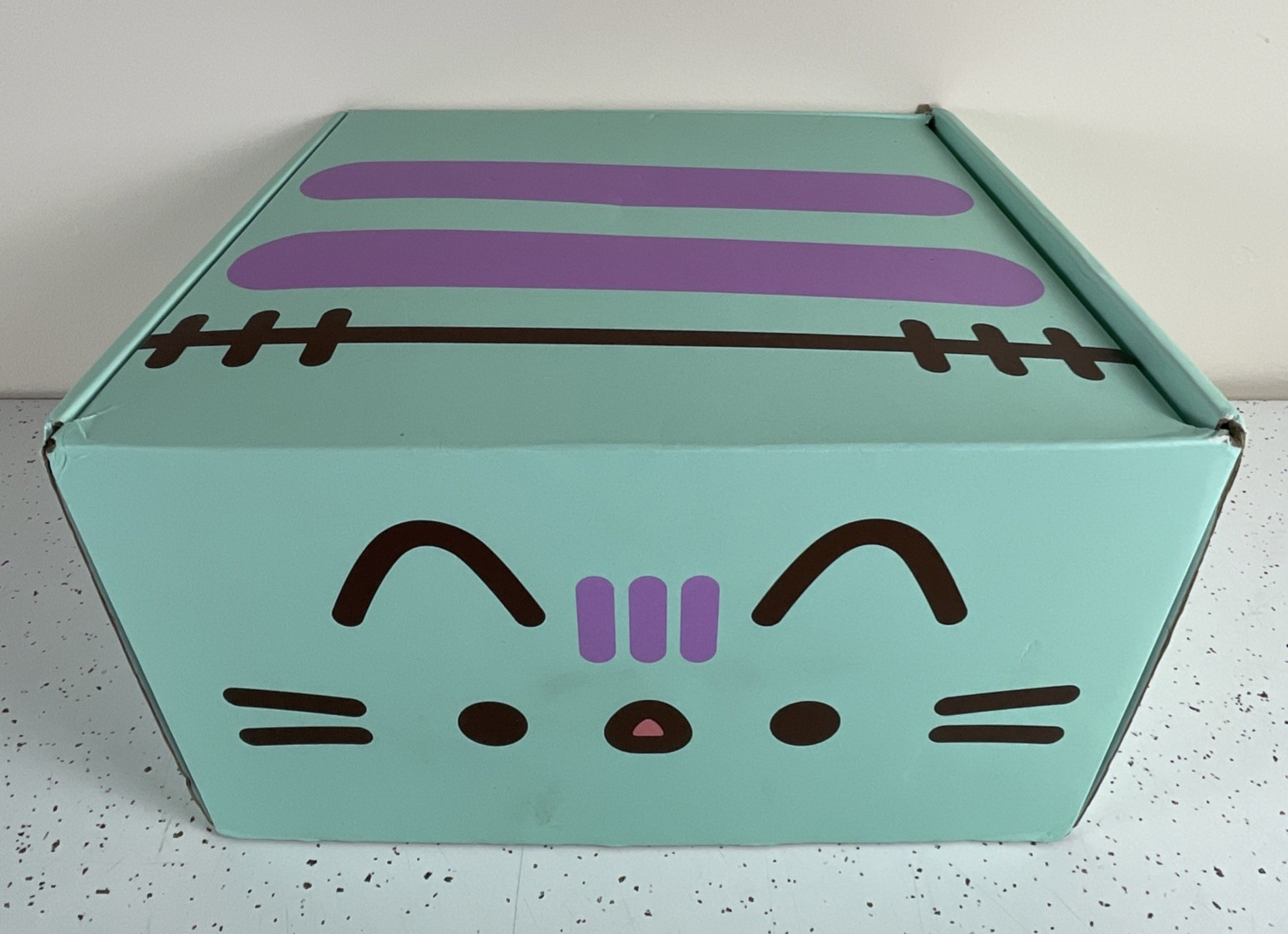 NEW CultureFly Pusheen Fall 2019 Exclusive Collectors Box COMPLETE Size Medium NEW CultureFly Pusheen Fall 2019 Exclusive Collectors Box COMPLETE Size Medium