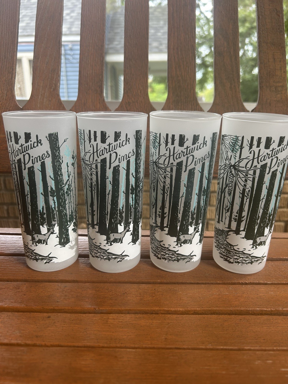 Vtg Hartwick Pines Michigan Souvenir Frosted Drinking Glasses Tumbler Lot of 4 