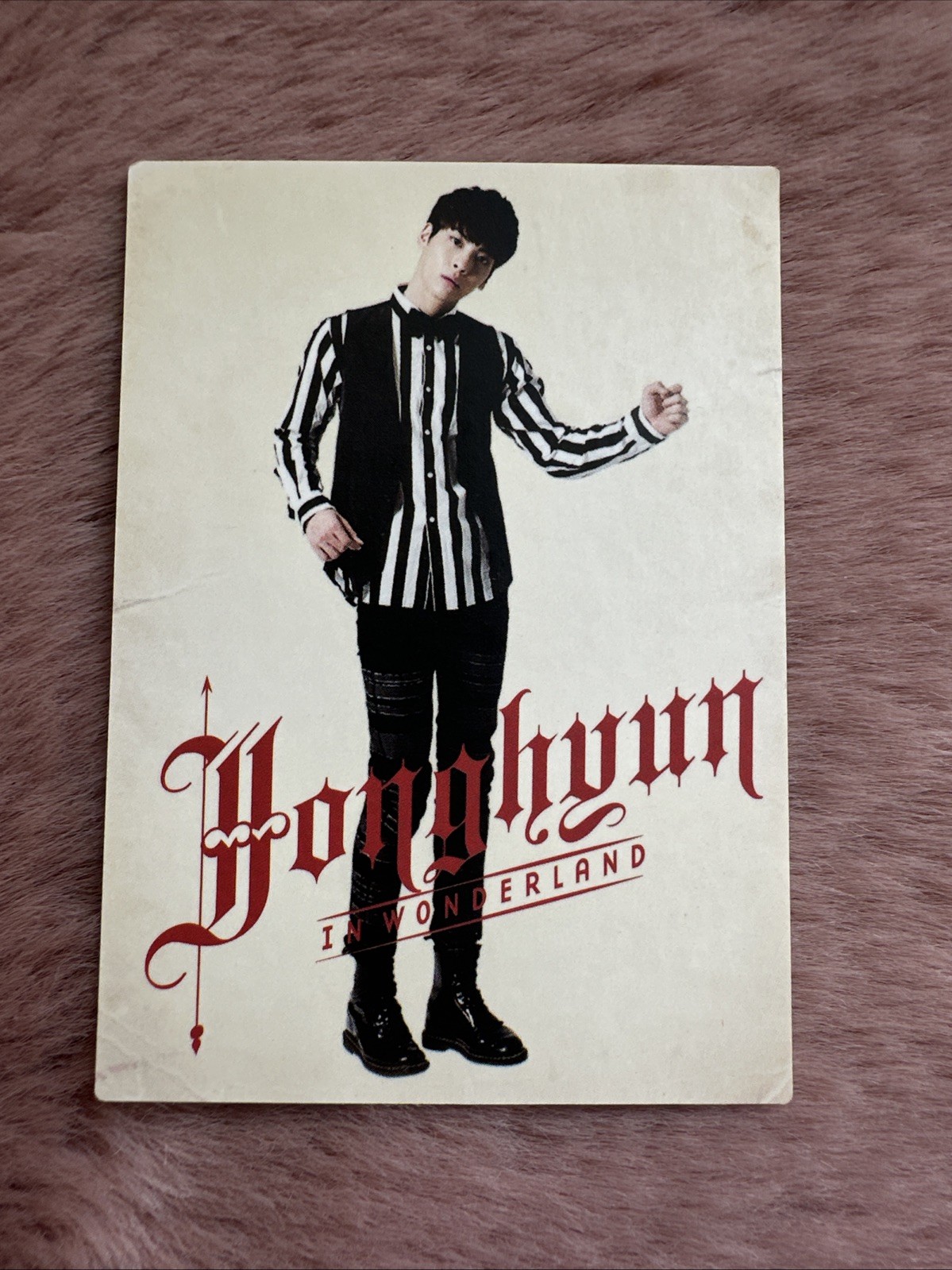 *SUPER RARE* Shinee Jonghyun ́ In Wonder Land ́ Official Photocard + FREEBIES