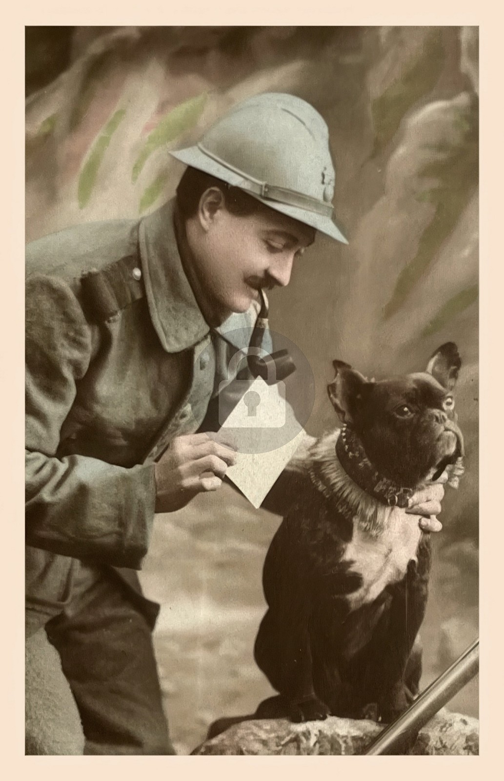 WW 1 FRENCH BULLDOG Army Service Dog 1916 RPPC Photo Postcard COPY WW 1 FRENCH BULLDOG Army Service Dog 1916 RPPC Photo Postcard COPY