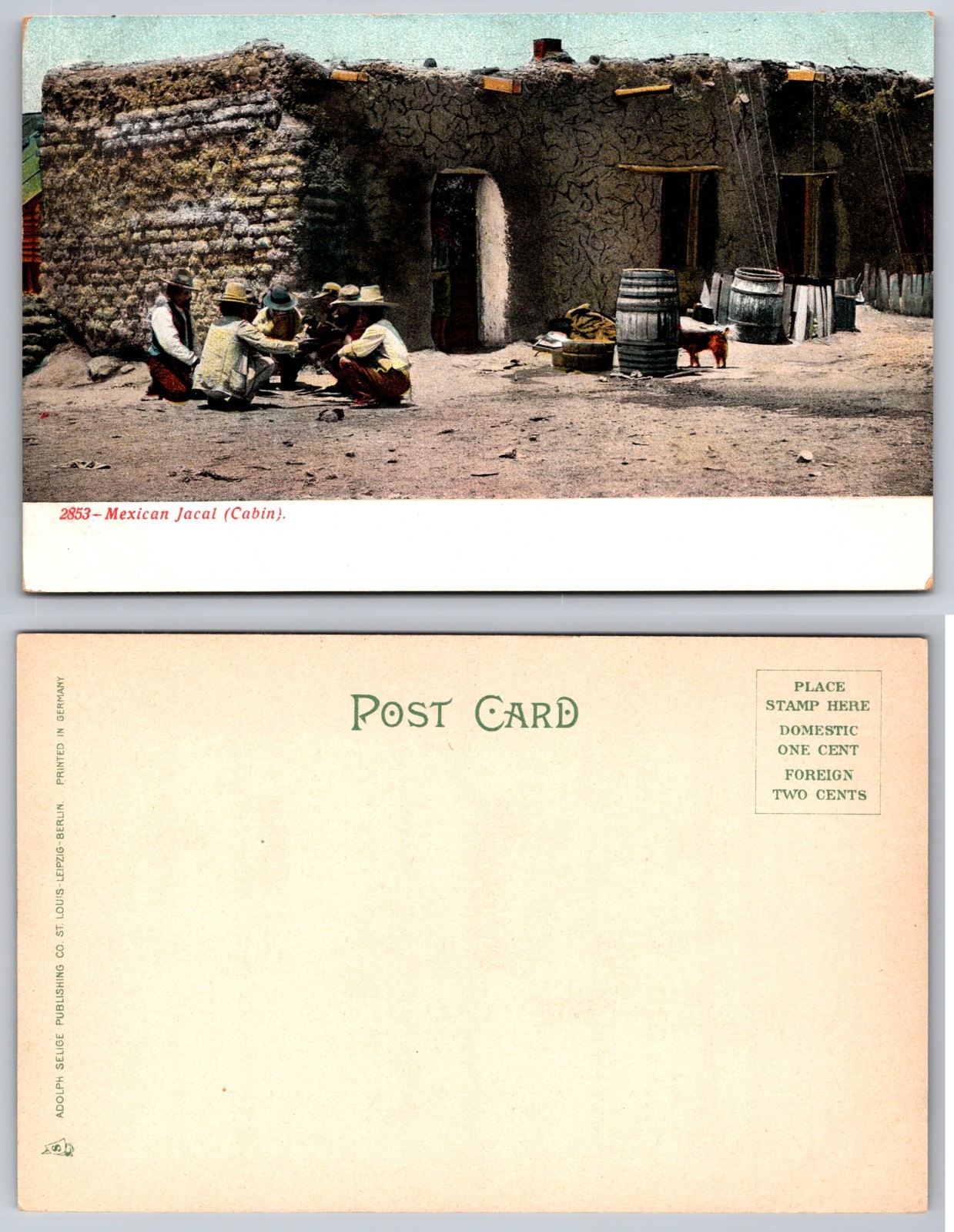 Mexican Jacal Cobas Postcard
