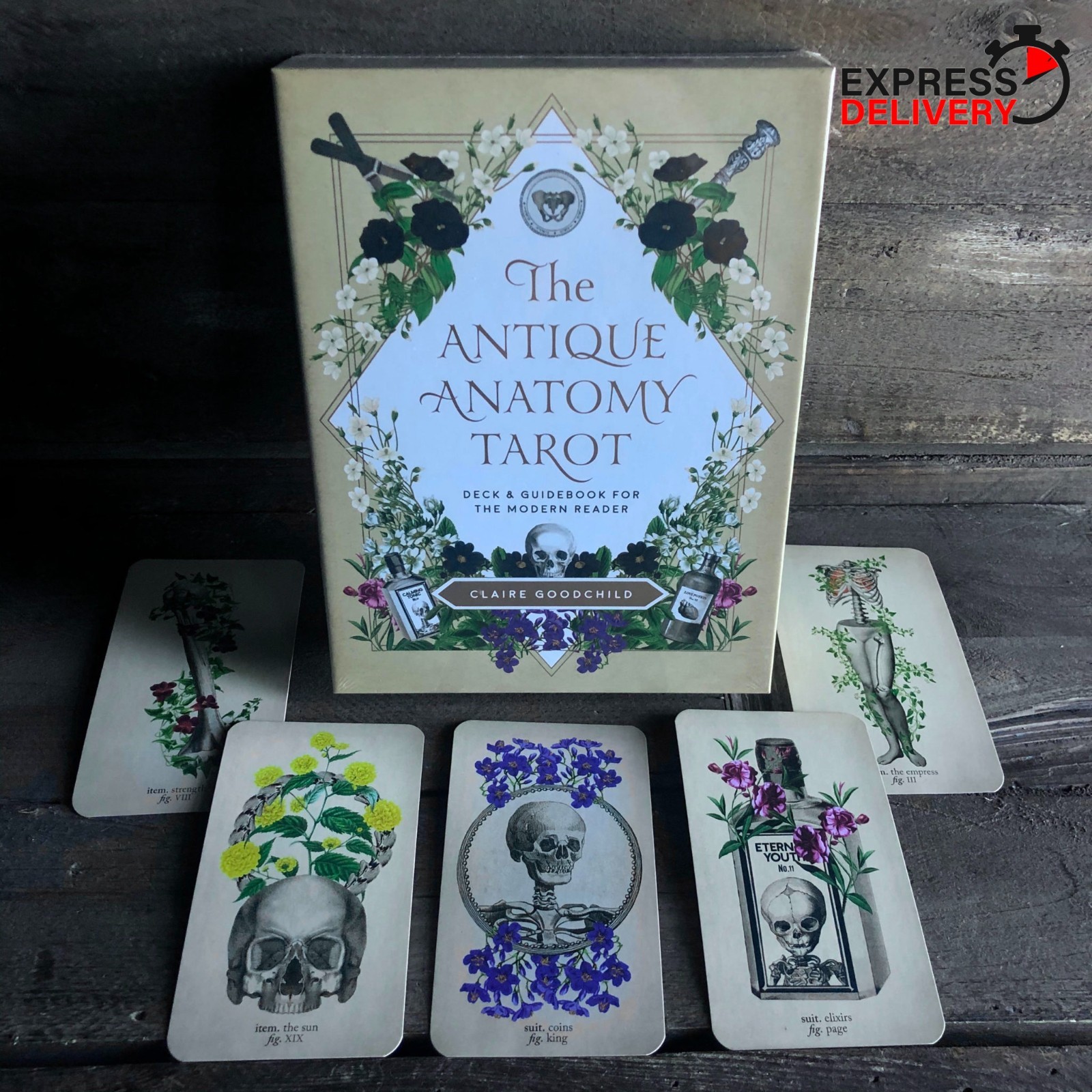The Antique Anatomy Tarot Deck 78 Cards Vintage Divination Oracle Set Card Deck
