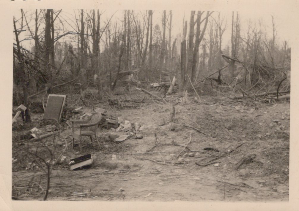 WW2 Theodore Speiser 1944 Ravaged Landscape Forest Debris Germany Rare Photo