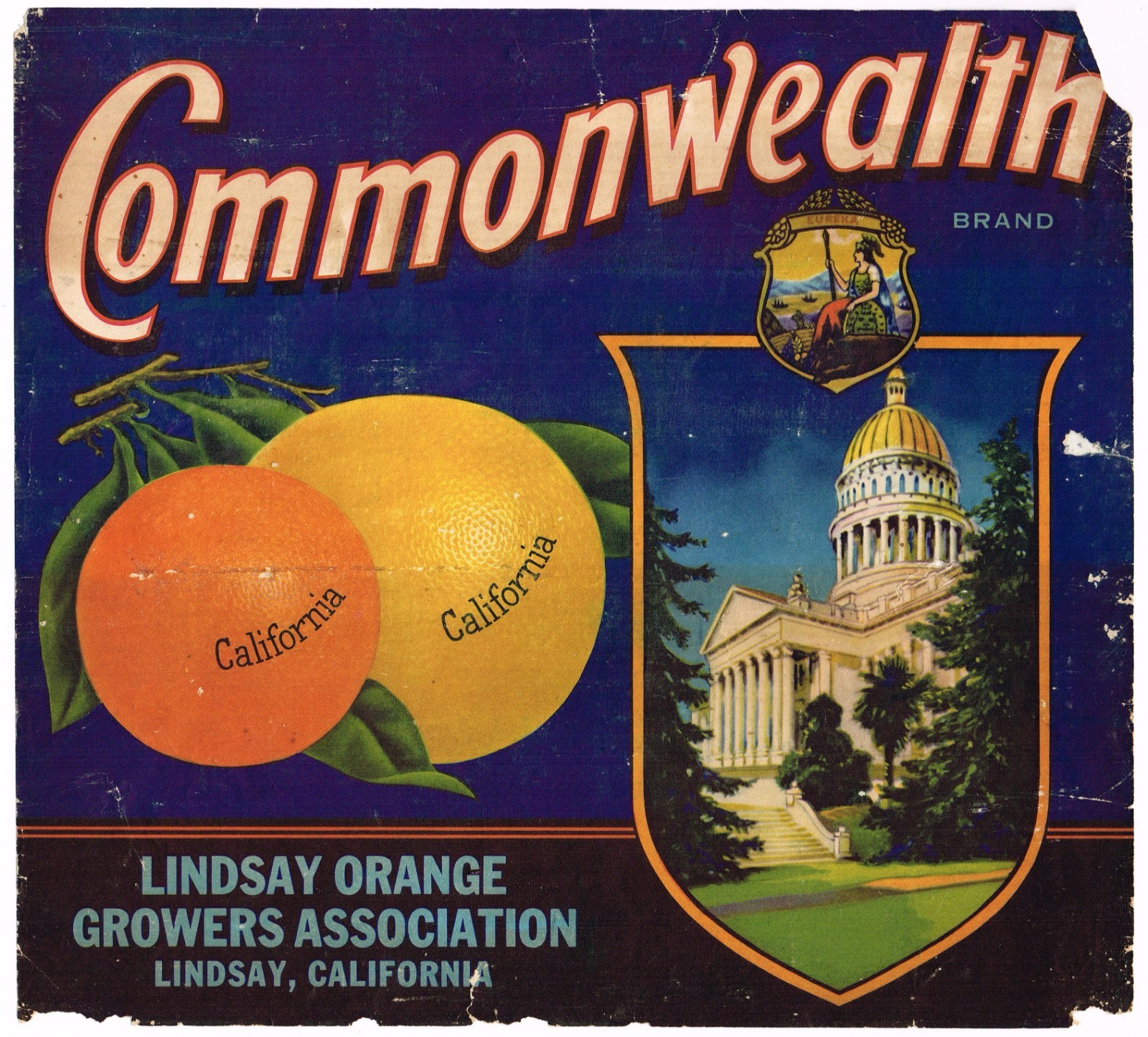 ORIGINAL CRATE LABEL VINTAGE ORANGE 1951 SOAKER W DAMAGE LINDSAY STATE CAPITOL ORIGINAL CRATE LABEL VINTAGE ORANGE 1951 SOAKER W DAMAGE LINDSAY STATE CAPITOL