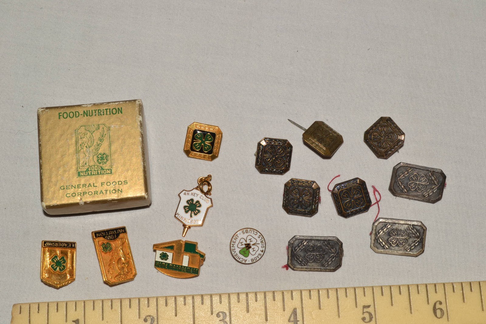 1960s Vintage 4H Club & FFA PIN LOT  20 Some 10k Gold Filled RARE PFIZER SWINE
