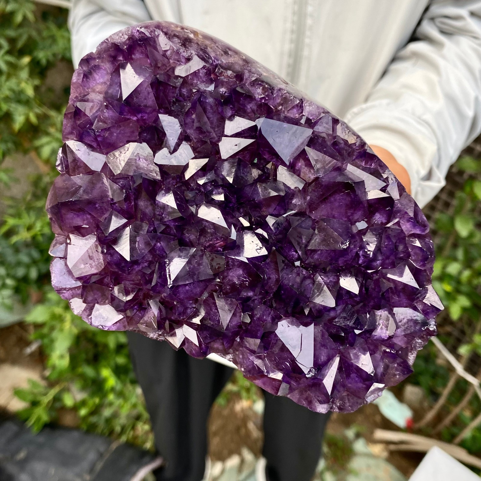 2.7LB Natural Amethyst cluster quartz crystal Raw specimen Healing
