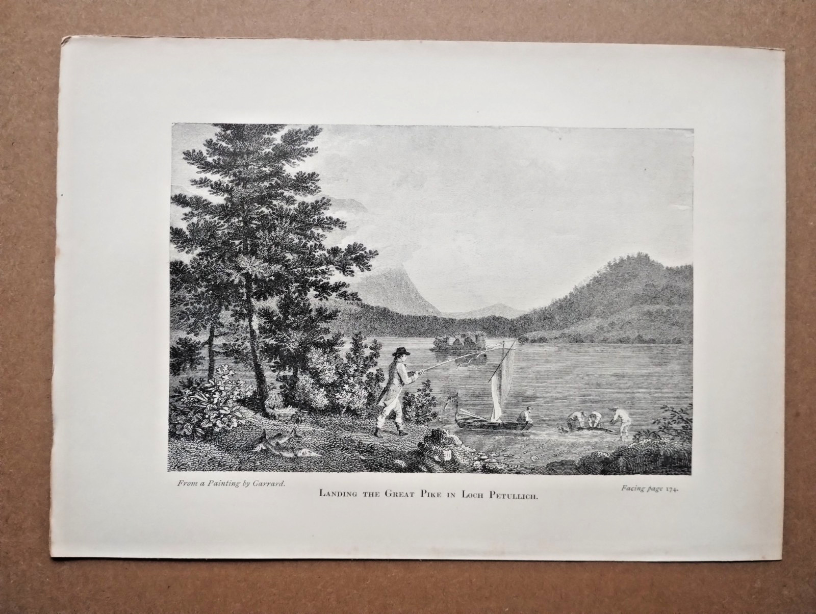 Landing the Great Pike in Loch Petullich - Antique Print - 1896 Landing the Great Pike in Loch Petullich - Antique Print - 1896