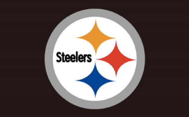 Pittsburgh Steelers Pitt FLAG 3X5 Banner American Football