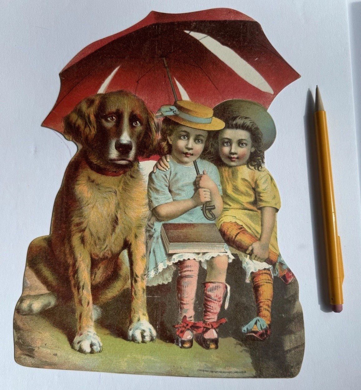 BIG Antique St Bernard Dog Die Cut 10x7 Girl Umbrella 1887 Litho Card Book Rare