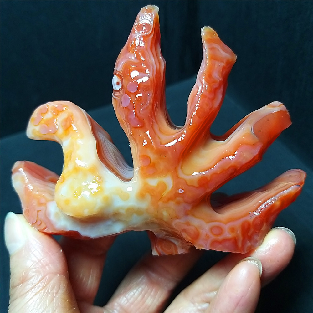 Rare 157G Natural Gobi Agate Eyes Agate/stone Madagascar A4182