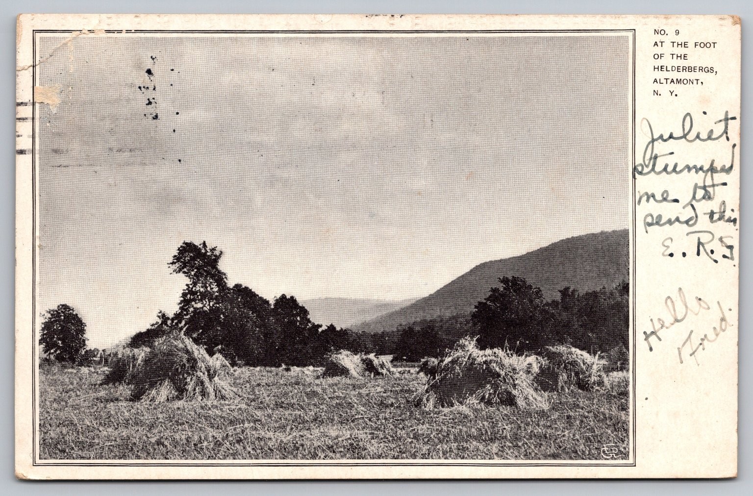 1906 Altamont NY Helderbergs Haystacks Farm Landscape Postcard Posted 1906 Altamont NY Helderbergs Haystacks Farm Landscape Postcard Posted