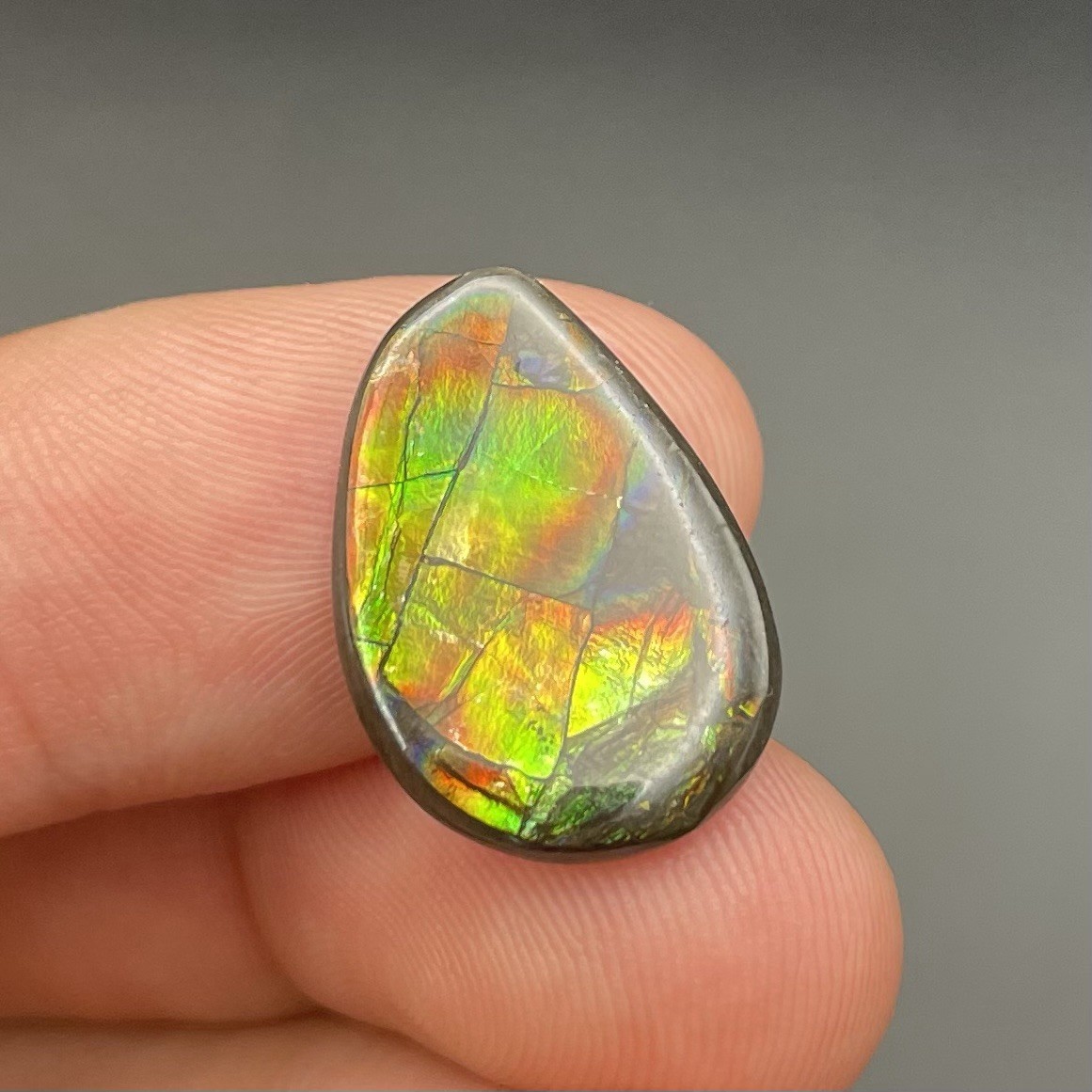 BEAUTIFUL FLASHY CANADIAN AMMOLITE GEMSTONE ALBERTA CANADA GORGEOUS BEAUTIFUL FLASHY CANADIAN AMMOLITE GEMSTONE ALBERTA CANADA GORGEOUS