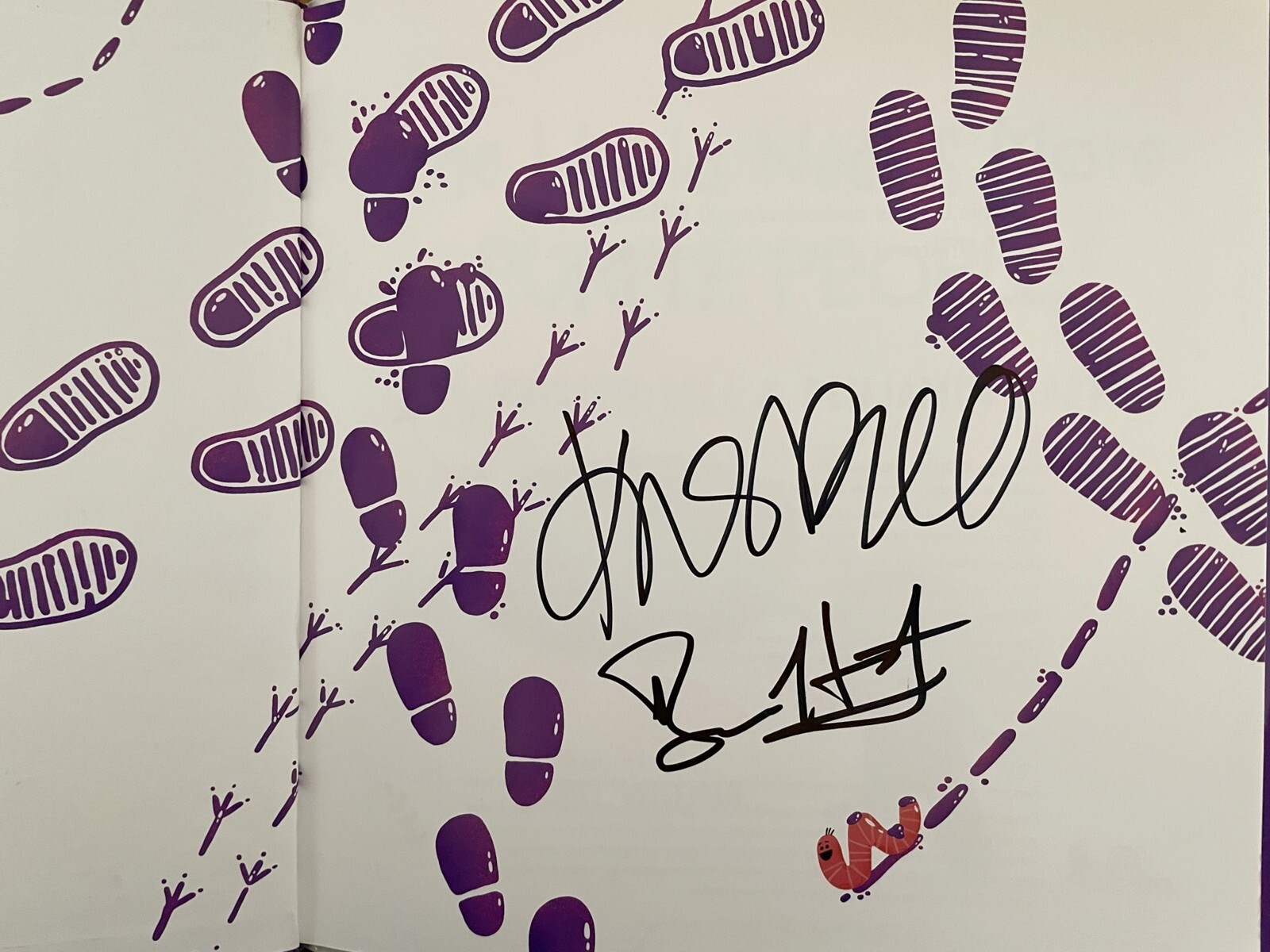 Kristen Bell signed The World Needs More Purple People hardcover children's book Kristen Bell signed The World Needs More Purple People hardcover children's book